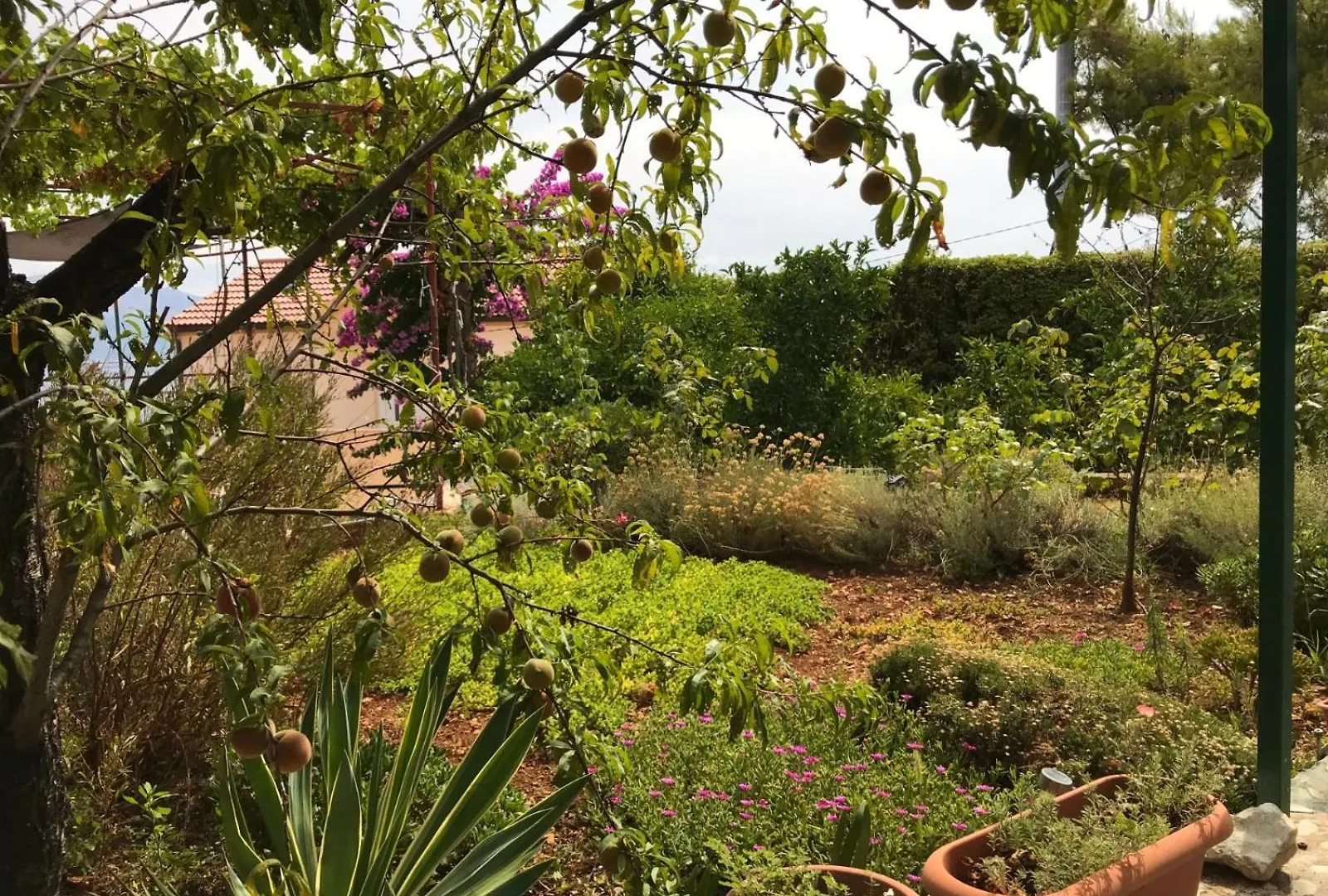 Apartment Apartmani Hajdi Trogir Croatia