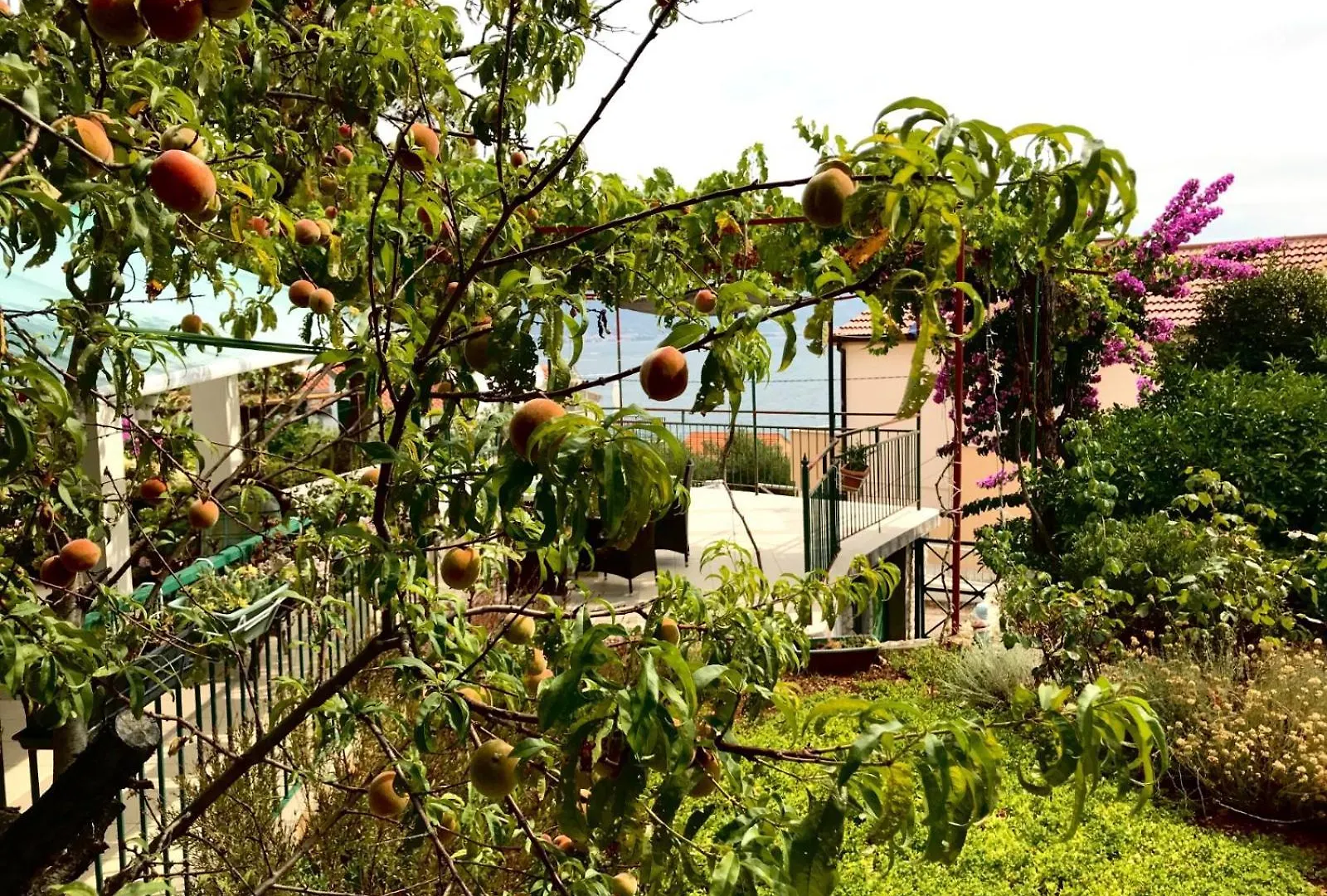 Apartmani Hajdi Trogir